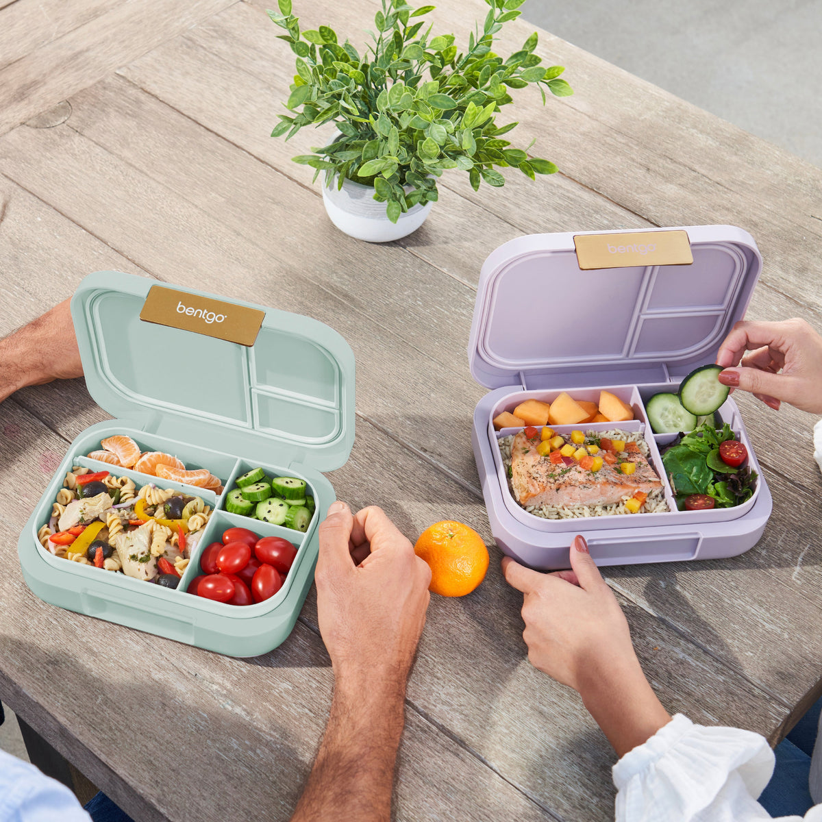 bentgo-modern-lunch-box-2-pack-q7 COSTCOBMCPRODUCTIMAGE_2.jpg